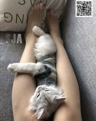 《万凰之王》短剧全集_BD韩语全集在线观看