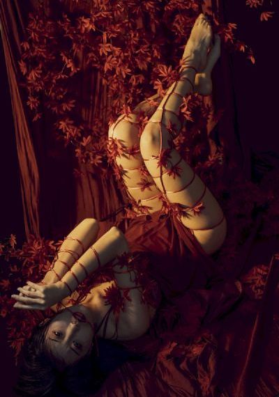 烈火电视剧免费看40集_BD手机免费观看完整