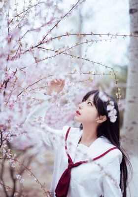 珠帘玉幕免费看_国产剧在线视频观看